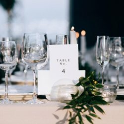 Franchise Development Strategy